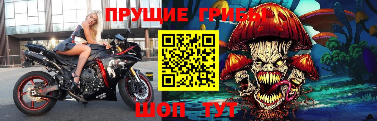 Миасс  Галлюциногенные грибы Psilocybine cubensis  Вход с VPN 